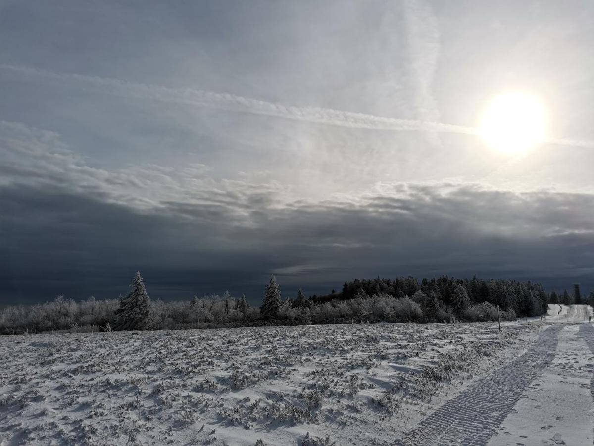 Gite Du Cerf Birkenwald Exterior foto